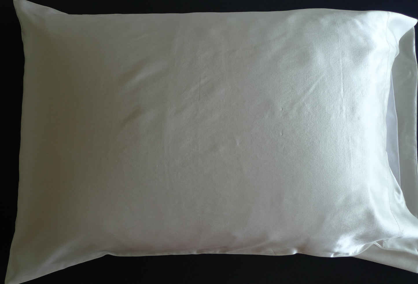 Funda de Almohada de Seda 75-50 cm
